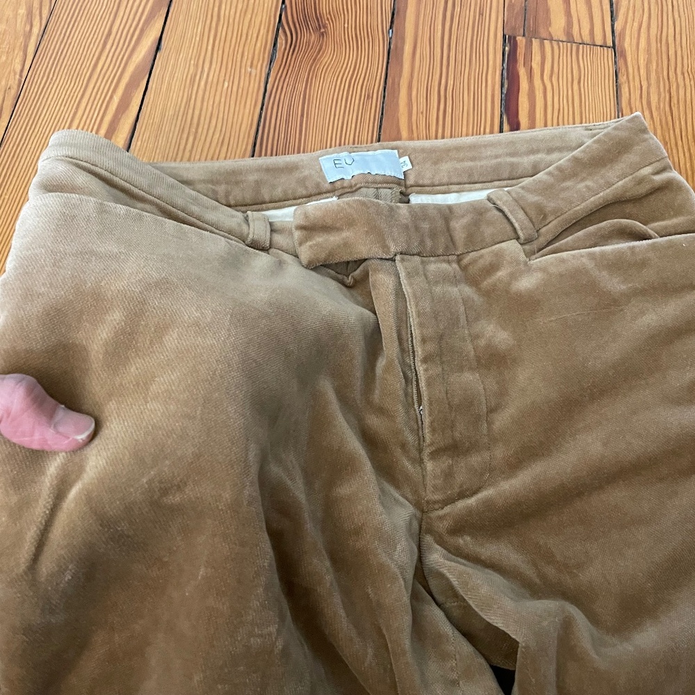 Stylish shiny velvet like pant